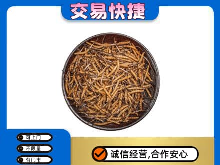 通辽市开鲁高价回收散虫草